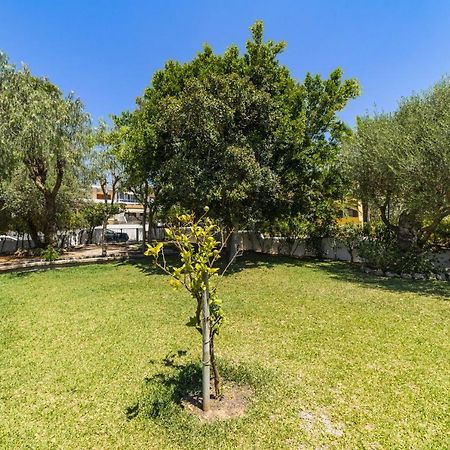 Villa Alcanada Garden Alcúdia Eksteriør bilde